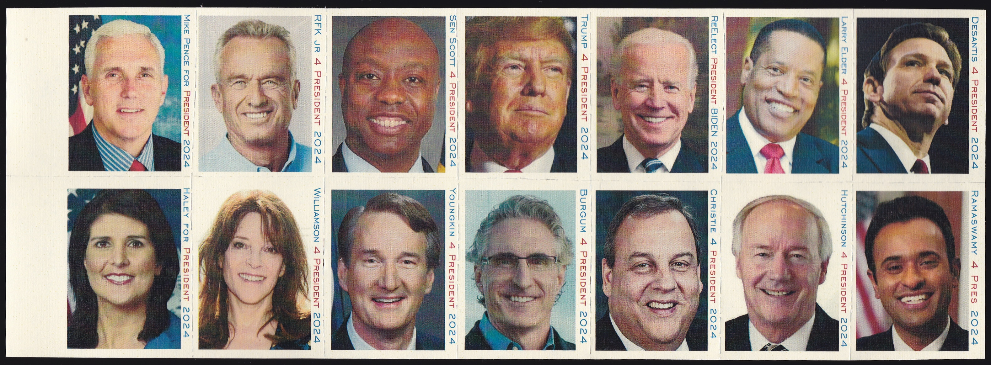 2025 Political Poster Stamps The Christmas Seal & Charity Stamp Society